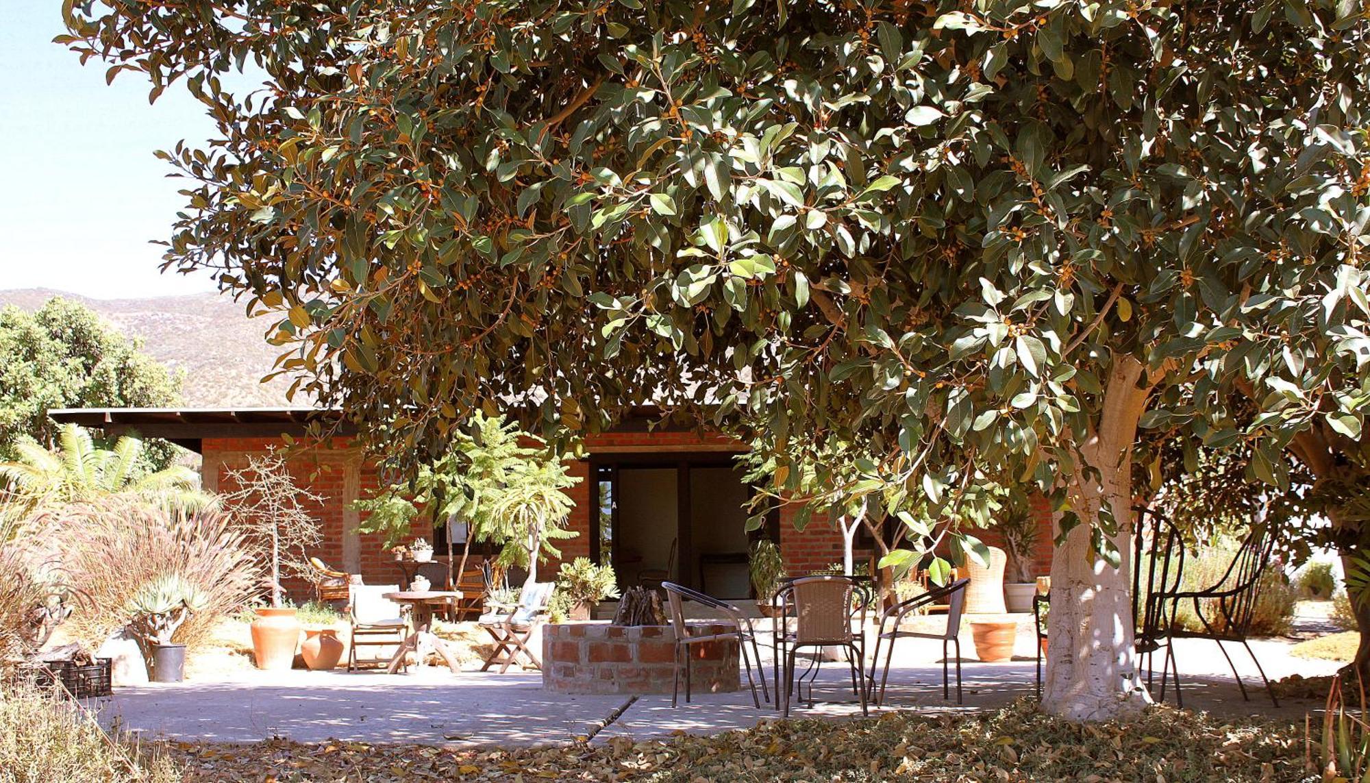 Las Orquideas Valle de Guadalupe Esterno foto